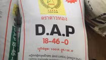 Nhái thương hiệu phân bón Năm Sao đem sang Campuchia tiêu thụ