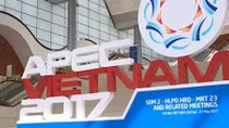 Việt Nam với 19 năm gia nhập APEC
