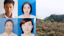 Khởi tố 4 cựu cán bộ Ban quản lý rừng phòng hộ huyện Quỳnh Lưu