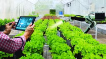 Công bố Báo cáo tổng quan nông nghiệp số Việt Nam 2021