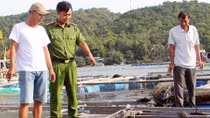 Chấm dứt tình trạng khai thác hải sản trái phép