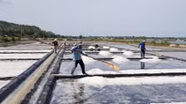 Làng muối Tuyết Diêm đắng chát vị mặn mồ hôi
