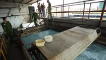 Nhiều đơn vị xả thải ra hệ thống thủy lợi trọng điểm quốc gia Bắc Hưng Hải