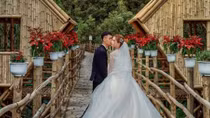 Trà Sư ngày trở lại