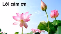 Lời cảm ơn