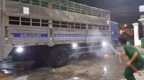 Tăng cường chống dịch tả lợn châu Phi