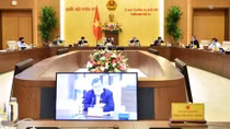 Làm rõ quy định kiểm toán trước khi ký hợp đồng
