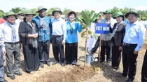Việc trồng cây xanh chính là đầu tư cho tương lai