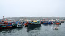 Phục hồi môi trường và đa dạng sinh học đảo Bạch Long Vỹ