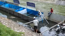 Hồi sinh sông Tô Lịch tại chỗ: Chỉ là giải quyết phần ngọn