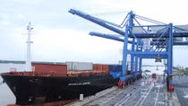 Đầu tư cảng container gây thất thoát vốn Nhà nước của Công ty IPC