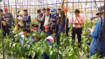 Đào tạo lao động theo đơn đặt hàng