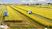 Cuộc thi “Báo chí viết về Nông thôn mới gắn với cơ cấu lại ngành nông nghiệp” 