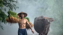 Từ “lỗ cốt” đến “con cu hai cốt”