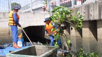 Những người giữ sạch bờ kênh