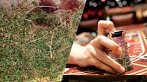 Thua bạc… dựng hiện trường giả bị cướp