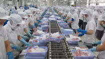 Tập trung xây dựng thương hiệu sản phẩm Việt Nam