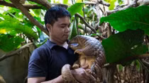 Chuyện về Thái “tê tê”
