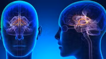 Bí ẩn về nỗi sợ hãi và trí tưởng tượng