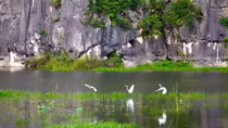Xây dựng Khu bảo tồn Vân Long trở thành khu Ramsar 
