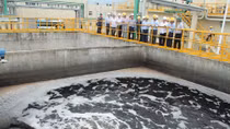 Tổng cục Môi trường lên tiếng về việc "mỗi ngày thanh tra 3 doanh nghiệp" 