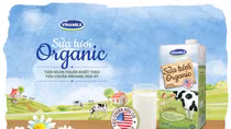 Vì sao sữa tươi organic lên ngôi? 