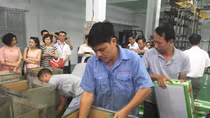 Vải thiều Việt Nam sẵn sàng đi Úc 