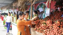 Đẩy mạnh tiêu thụ vải thiều Lục Ngạn chính vụ cho nông dân 