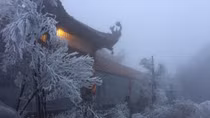 Ngỡ ngàng ngắm "tuyết rơi mùa hè" đẹp mê hồn