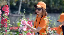 Ngỡ ngàng vẻ đẹp của thành phố trên mây Sun World Fansipan Legend