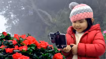 Đẹp miên man sắc đỗ quyên tại Sun World Fansipan Legend