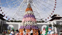 Asia Park ngập tràn “tuyết rơi” mùa Giáng sinh
