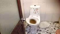 Đề nghị đình chỉ hoạt động tàu du lịch bị tố cáo chất lượng tệ hại