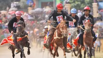 “Vó ngựa Cao nguyên trắng Bắc Hà 2019” vào hội