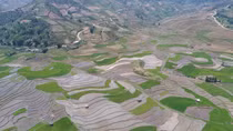 “Bay trên mùa nước đổ” ngắm ruộng bậc thang Mù Căng Chải từ trên mây
