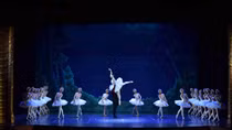 Đưa vở ballet “Hồ Thiên Nga” lưu diễn cả nước