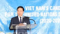 Việt Nam sẽ hoàn thành trọng trách của một thành viên Hội đồng Bảo an