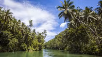 Philippines: Học sinh muốn được tốt nghiệp thì phải trồng cây 