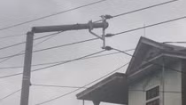 Bão số 10 khiến gần 500.000 hộ dân bị mất điện, 