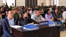 Xét xử vụ tranh chấp hợp đồng giữa Công ty Bách Đạt An và Công ty Hoàng Nhất Nam
