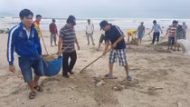 Sau mưa lũ, hơn 10 tấn rác dạt vào bờ biển Đà Nẵng 