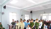 Toà trả hồ sơ điều tra lại vụ phá rừng Bà Nà – Núi Chúa 