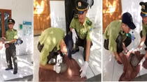 Cảnh sát môi trường cùng Kiểm lâm phát hiện nhiều vụ bẫy bắt động vật hoang dã
