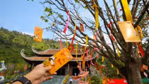 Nô nức “Lễ hội Thần tài” cầu may mắn đầu năm mới