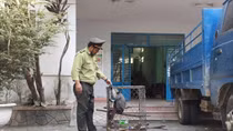 Người dân giao nộp động vật trong sách đỏ cho Kiểm lâm