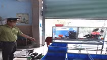 Giải cứu 36 cá thể chim hoang dã sắp bị xẻ thịt lên bàn nhậu 