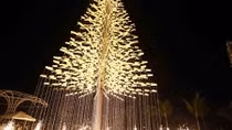 Ngắm cây thông Noel cao kỷ lục ở Đà Nẵng