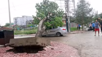 TP Vinh tan hoang, nhiều thuyền viên mất tích sau cơn bão số 2