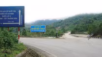 Hồi sinh kỳ diệu sau những tán rừng già