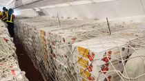 Vietnam Post dành trọn tải chuyến bay chuyển vải thiều xuất khẩu đến Nhật Bản